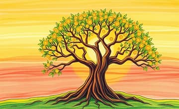 The Power of Compound Interest in Retirement Savings